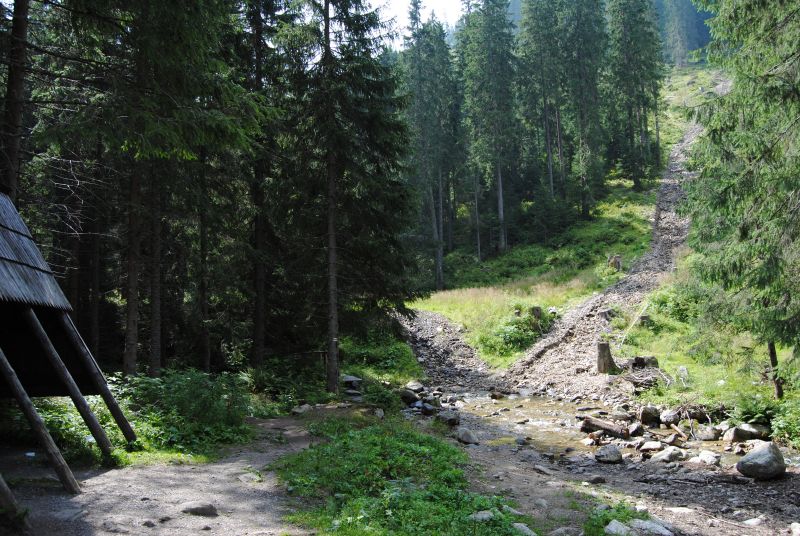 pepajs.cz